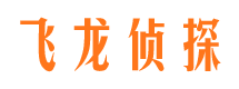 陆河侦探公司